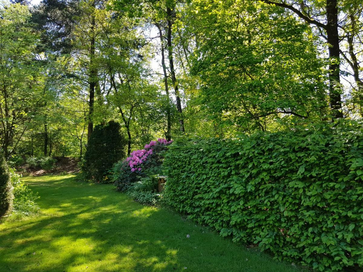 Knusse Bungalow Otterlo Veluwe Zewnętrze zdjęcie