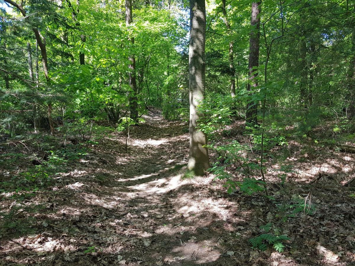 Knusse Bungalow Otterlo Veluwe Zewnętrze zdjęcie