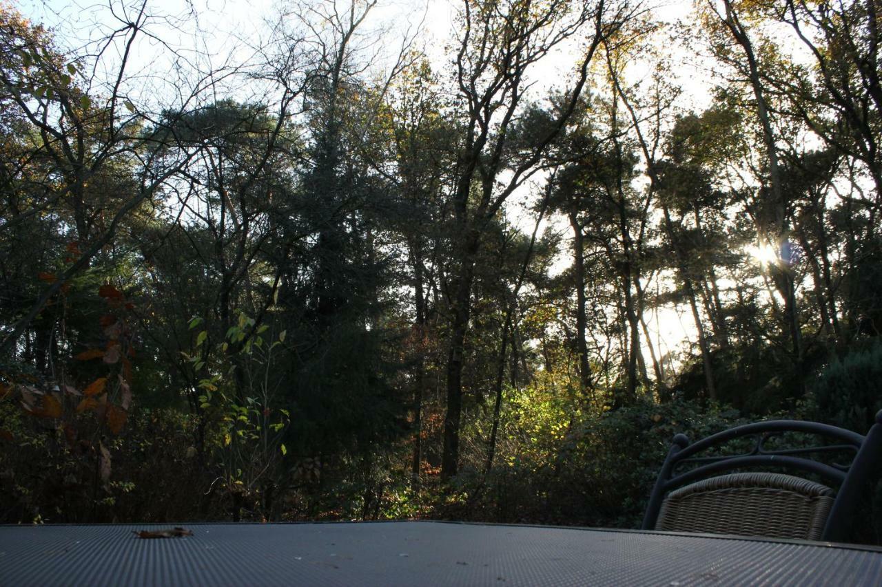 Knusse Bungalow Otterlo Veluwe Zewnętrze zdjęcie