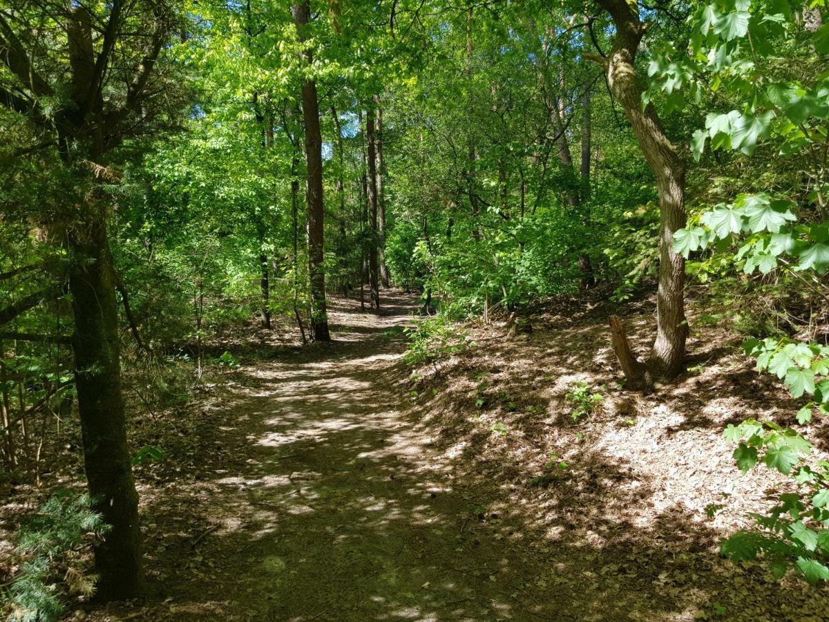 Knusse Bungalow Otterlo Veluwe Zewnętrze zdjęcie
